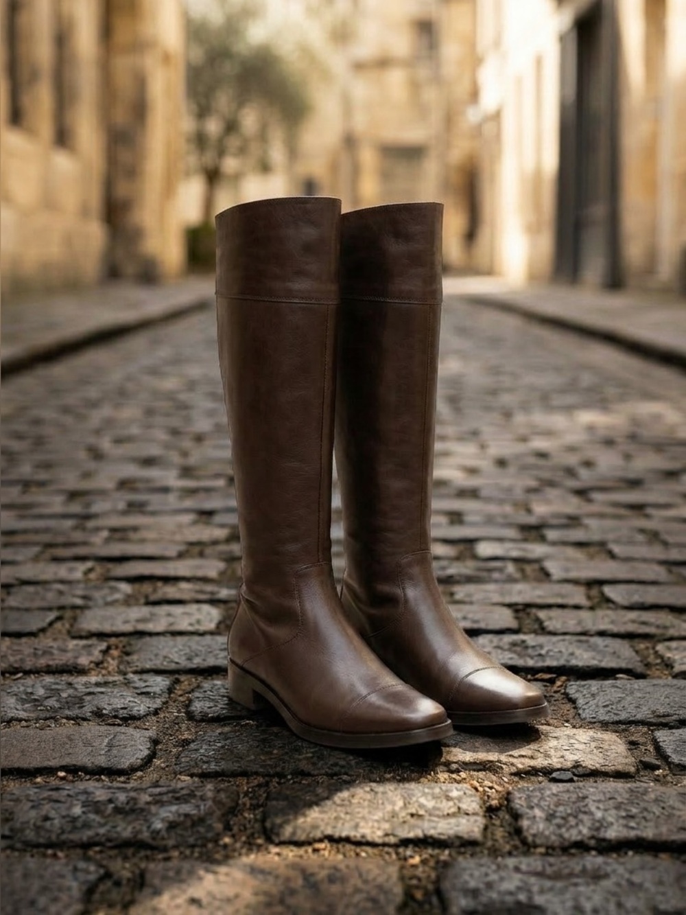 Balenciaga Chocolate Brown Boots